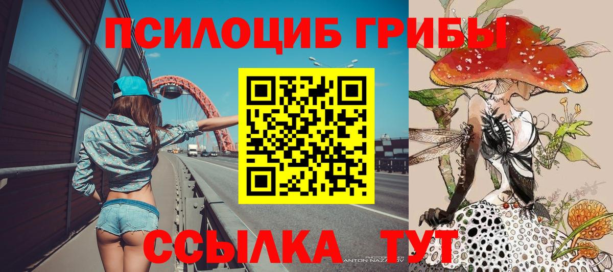 Галлюциногенные грибы Cubensis  Ливны 