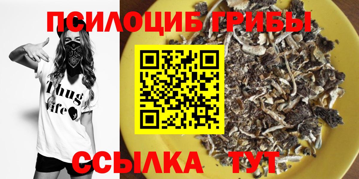Псилоцибиновые грибы Magic Shrooms  Вход с VPN  наркошоп  Ливны 