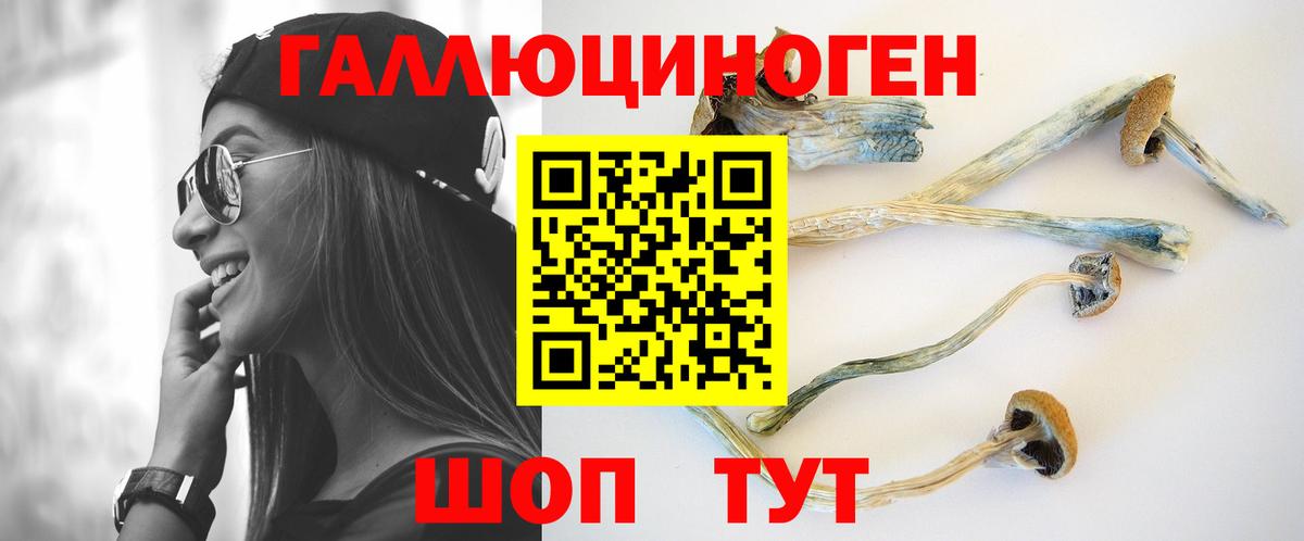Псилоцибиновые грибы GOLDEN TEACHER Ливны